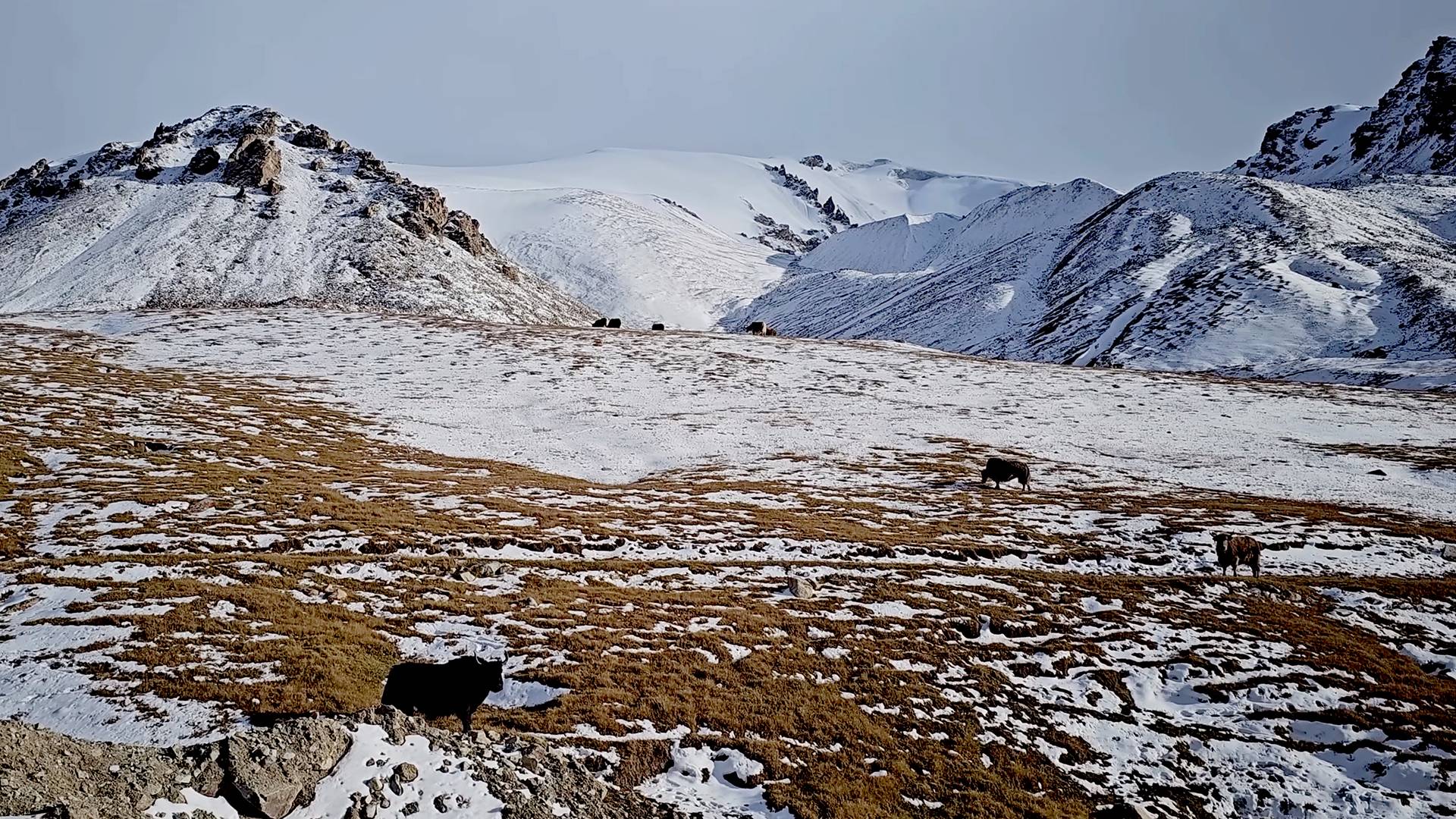 National Tourism Portal